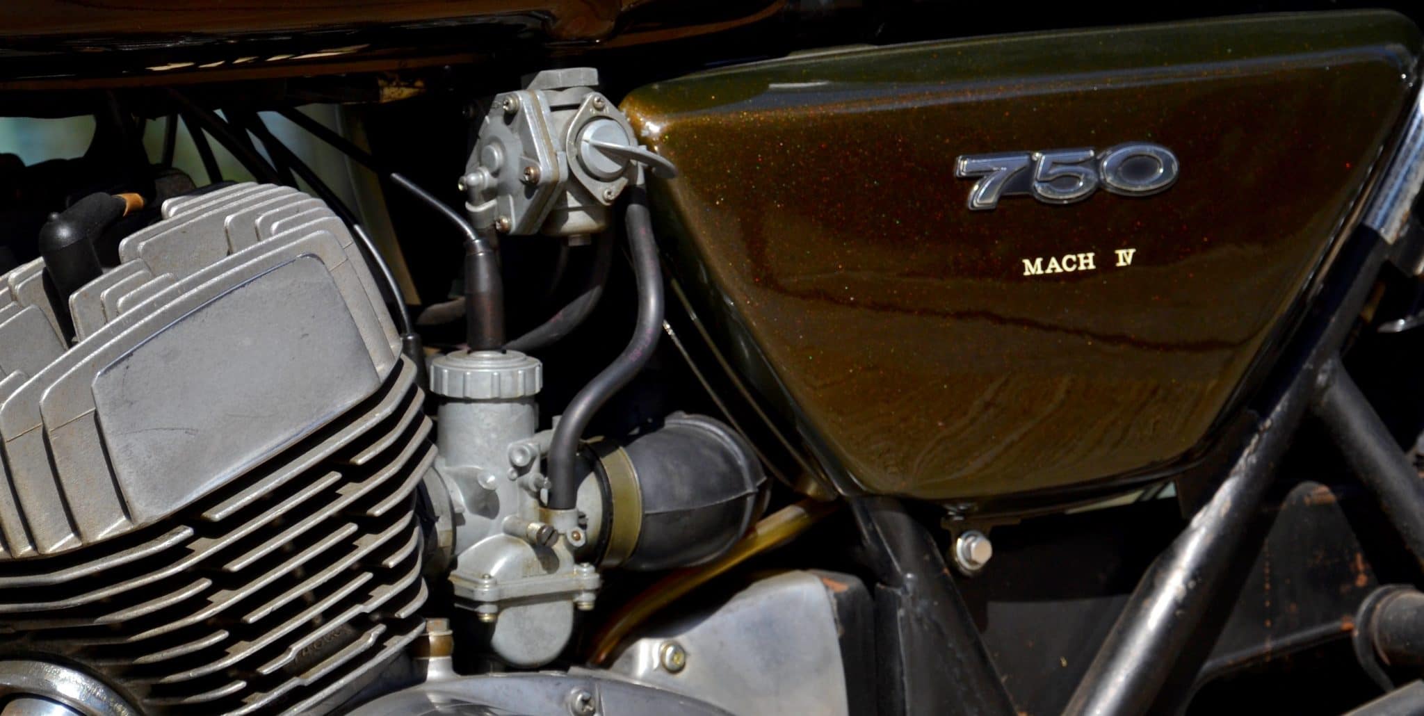 DSC_2479 DSC_2479