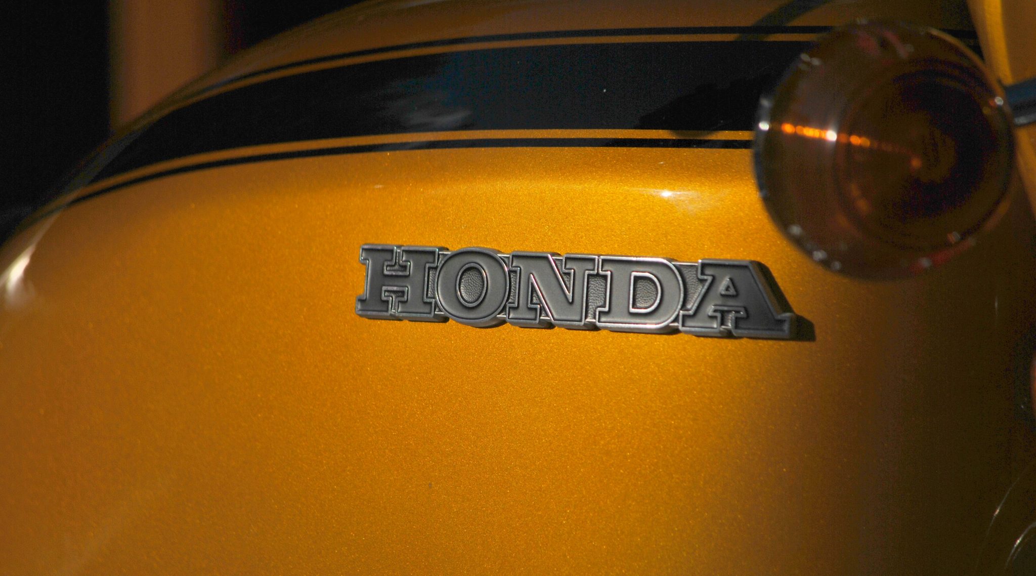 DSC_0533 DSC_0533