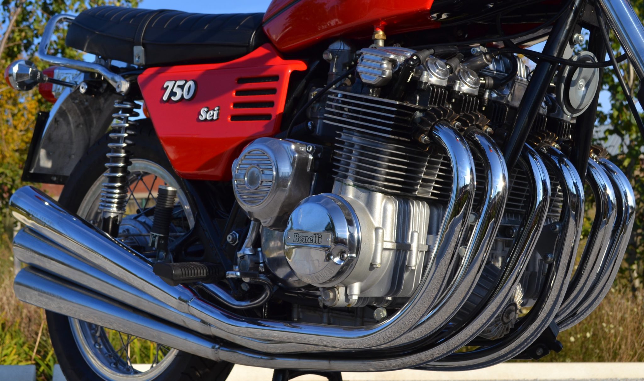 DSC_7973 DSC_7973