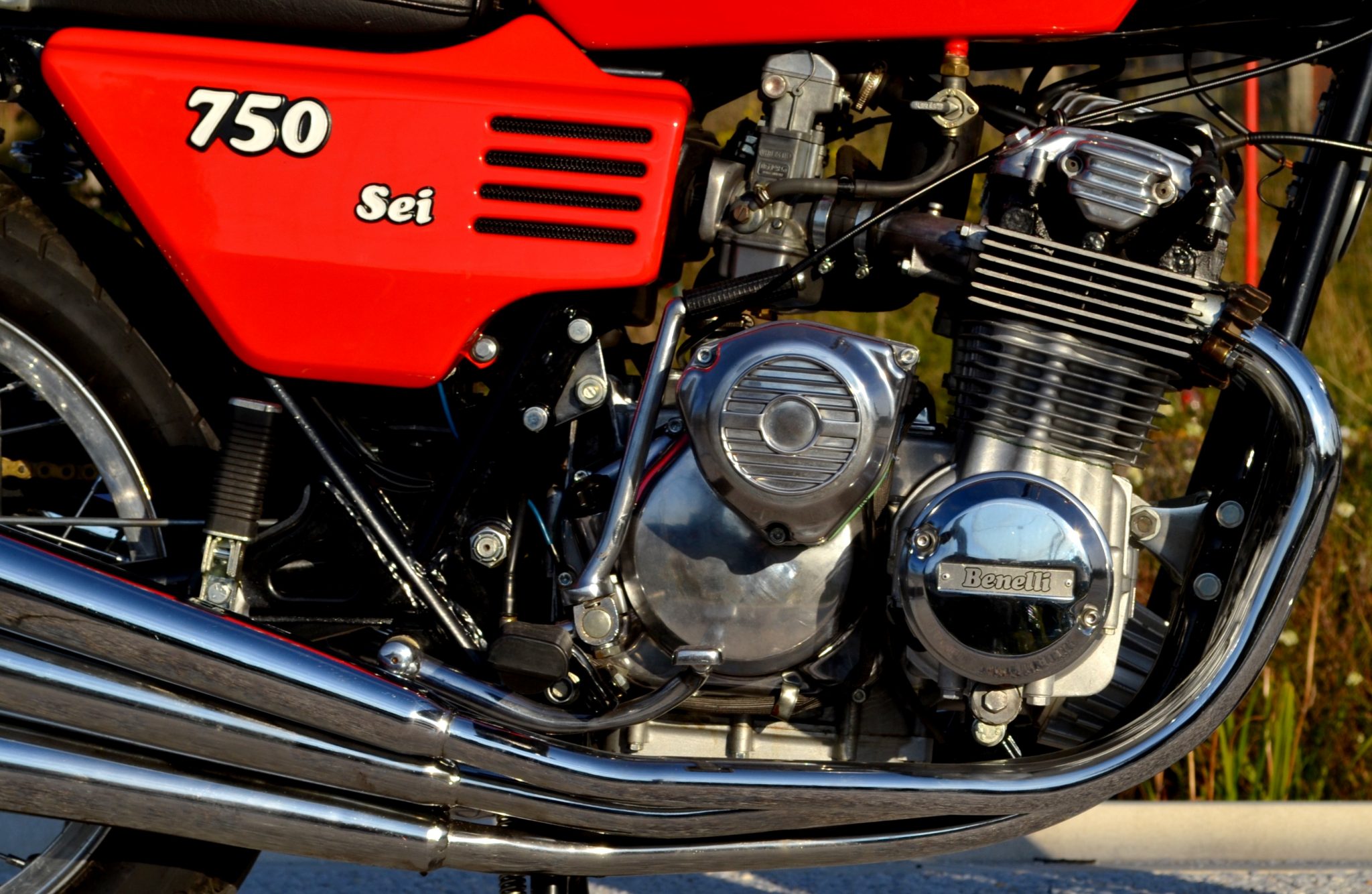 DSC_8001 DSC_8001