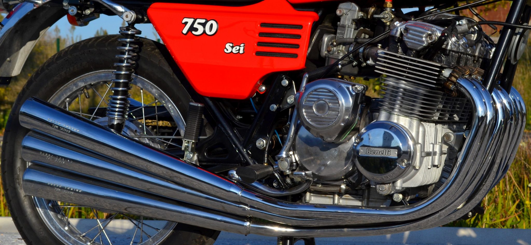 DSC_8005 DSC_8005