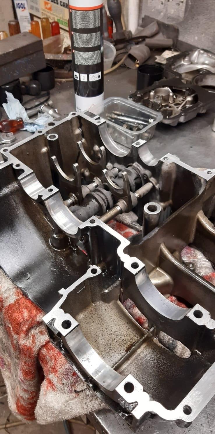 8d569577-efd7-4e7e-8686-bf7ed8c201a6